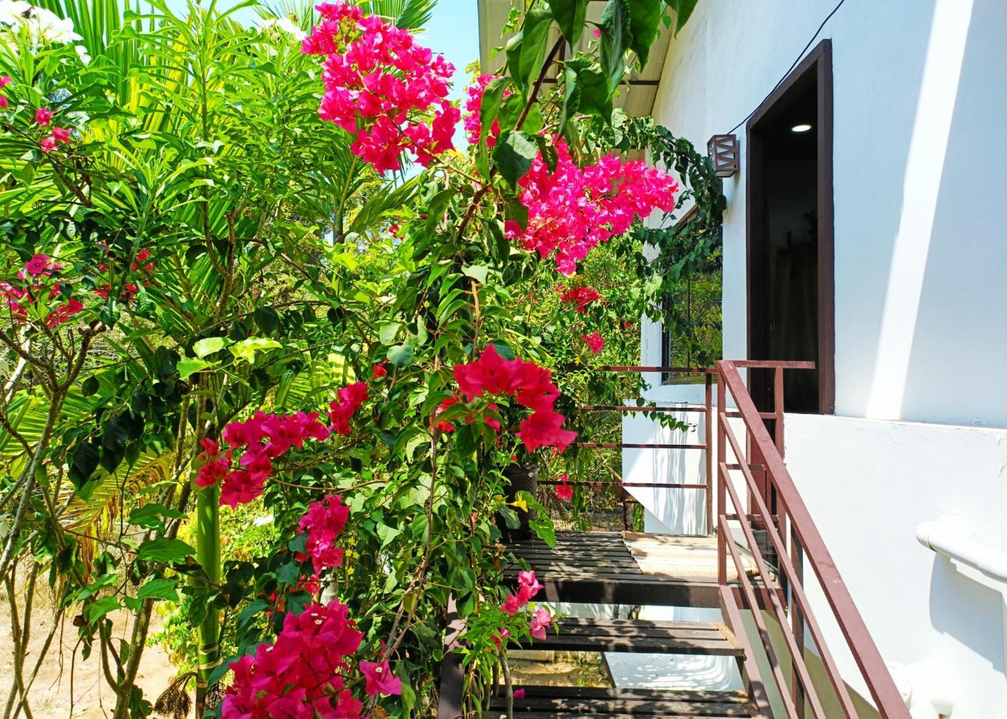 Alma Homestay Mararikulam Ngoại thất bức ảnh